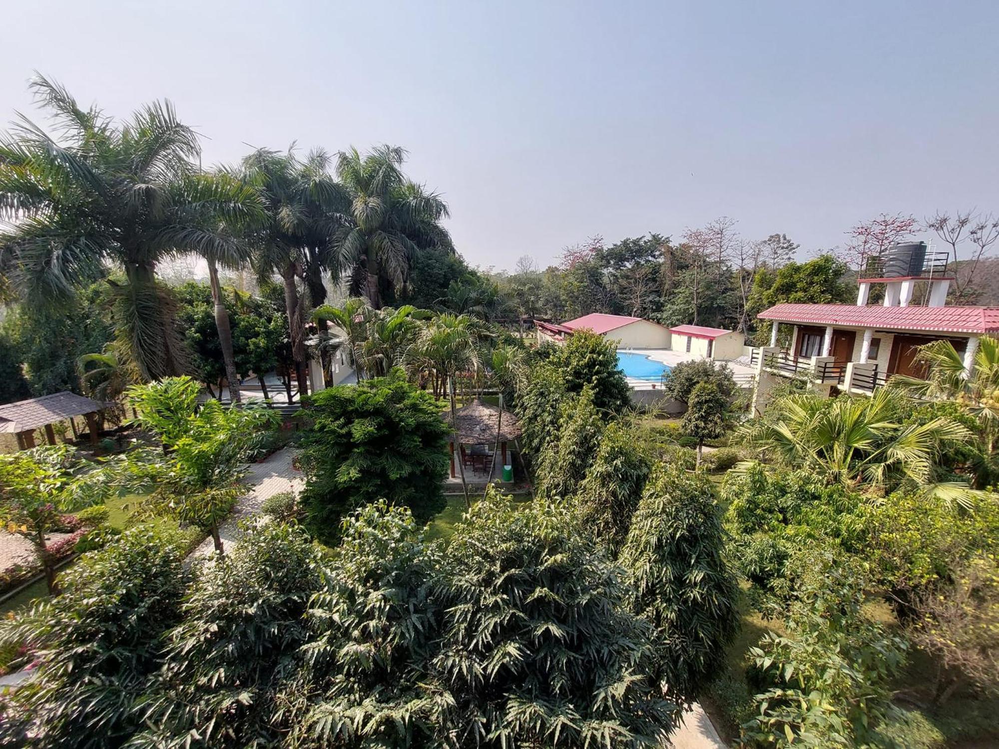 Royal Tiger Luxury Resort 4 Star Sauraha Ngoại thất bức ảnh